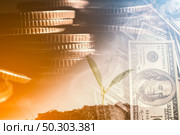 Double exposure of city and rows of coins and us dollar with sprouts plant. Growth and finance concept. Стоковое фото, агентство Ingram Publishing / Фотобанк Лори