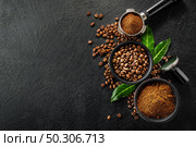 Coffee beans and coffee powder with tamper on dark background. Coffee concept. Coffee background. Flat Lay. . Стоковое фото, агентство Ingram Publishing / Фотобанк Лори