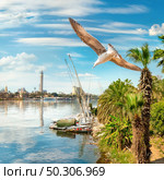 Nile and Cairo panorama by day. Egypt. Стоковое фото, агентство Ingram Publishing / Фотобанк Лори