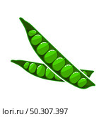 Pea Icon. Flat Color Design. Vector Illustration. Стоковая иллюстрация, агентство Ingram Publishing / Фотобанк Лори