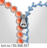 Antibody immune system and Immunoglobulin concept as antibodies attacking contagious virus cells and pathogens as a 3D render. Стоковое фото, агентство Ingram Publishing / Фотобанк Лори