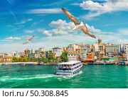 View on istanbul city, Golden Horn bay and Galata Tower. Стоковое фото, агентство Ingram Publishing / Фотобанк Лори