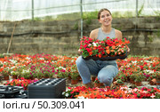 Portrait of positive girl with a tray of flowers Balsaminaceae genus in her hands in large greenhouse. Стоковое фото, фотограф Яков Филимонов / Фотобанк Лори