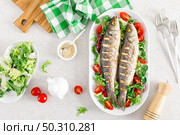 Seabass or sea bass fish roasted and fresh vegetable salad of tomatoes and lettuce, healthy food for lunch, top view. Стоковое фото, агентство Ingram Publishing / Фотобанк Лори