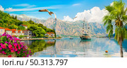 Historic city of Perast at Bay of Kotor in summer, Montenegro. Стоковое фото, агентство Ingram Publishing / Фотобанк Лори