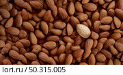 Stand out in a crowd concept and individuality symbol and tough nut or security idea as a group of shelled almonds with one individual almond inside a shell. Стоковое фото, агентство Ingram Publishing / Фотобанк Лори