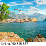 Panorama of old city Budva on Adriatic sea, Montenegro. Old city Budva on adriatic sea. Стоковое фото, агентство Ingram Publishing / Фотобанк Лори