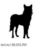 Dingo silhouette. Smooth and clean lines. High detailed Dingo silhouette. Vector Illustration.. wolves and martens silhouettes set. Стоковая иллюстрация, агентство Ingram Publishing / Фотобанк Лори