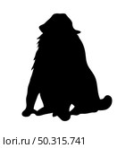 Mandrill Ape Silhouette. Smooth and clean lines. High detailed Mandrill monkey silhouette. Vector Illustration.. apes silhouettes set. Стоковая иллюстрация, агентство Ingram Publishing / Фотобанк Лори