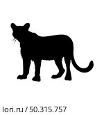 Puma silhouette. Smooth and clean lines. High detailed Puma silhouette. Vector Illustration.. wolves and martens silhouettes set. Стоковая иллюстрация, агентство Ingram Publishing / Фотобанк Лори