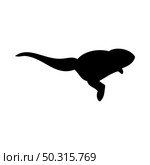 Three-toed dwarf jerboa silhouette. Smooth and clean lines. High detailed Three-toed dwarf jerboa silhouette. Vector Illustration.. beavers silhouettes set. Стоковая иллюстрация, агентство Ingram Publishing / Фотобанк Лори
