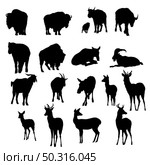 18 deer, yak and goats silhouettes. Smooth and Clean Lines. High detailed deer, yak and goats silhouettes. Vector Illustration. Стоковая иллюстрация, агентство Ingram Publishing / Фотобанк Лори