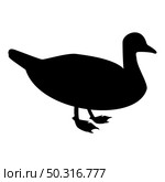Silhouette duck male mallard bird waterbird waterfowl poultry fowl canard black color vector illustration flat style simple image. Silhouette duck male mallard bird waterbird waterfowl poultry fowl canard black color vector illustration flat style image. Стоковая иллюстрация, агентство Ingram Publishing / Фотобанк Лори