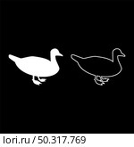 Duck Male mallard Bird Waterbird Waterfowl Poultry Fowl Canard silhouette white color vector illustration solid outline style simple image. Duck Male mallard Bird Waterbird Waterfowl Poultry Fowl Canard silhouette white color vector illustration solid outline style image. Стоковая иллюстрация, агентство Ingram Publishing / Фотобанк Лори