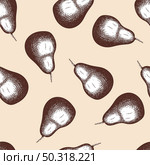 Seamles Pattern Of Pear. Hand Drawn Sketch. Retro Vintage Design. Vector Illustration. Стоковая иллюстрация, агентство Ingram Publishing / Фотобанк Лори