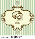Icon Of Kiwi. Hand Drawn Sketch. Retro Vintage Design. Vector Illustration. Стоковая иллюстрация, агентство Ingram Publishing / Фотобанк Лори