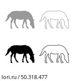 Steed Horse Equestrian Equine Stallion thoroughbred Mustang silhouette grey black color vector illustration solid outline style simple image. Steed Horse Equestrian Equine Stallion thoroughbred Mustang silhouette grey black color vector illustration solid outline style image. Стоковая иллюстрация, агентство Ingram Publishing / Фотобанк Лори