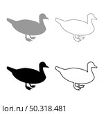 Duck Male mallard Bird Waterbird Waterfowl Poultry Fowl Canard silhouette grey black color vector illustration solid outline style simple image. Duck Male mallard Bird Waterbird Waterfowl Poultry Fowl Canard silhouette grey black color vector illustration solid outline style image. Стоковая иллюстрация, агентство Ingram Publishing / Фотобанк Лори