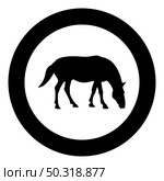 Steed Horse Equestrian Equine Stallion thoroughbred Mustang silhouette in circle round black color vector illustration solid outline style simple image. Steed Horse Equestrian Equine Stallion thoroughbred Mustang silhouette in circle round black color vector illustration solid outline style image. Стоковая иллюстрация, агентство Ingram Publishing / Фотобанк Лори