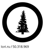 Fir tree Christmas Coniferous Spruce Pine forest Evergreen woods Conifer silhouette in circle round black color vector illustration solid outline style simple image. Fir tree Christmas Coniferous Spruce Pine forest Evergreen woods Conifer silhouette in circle round black color vector illustration solid outline style image. Стоковая иллюстрация, агентство Ingram Publishing / Фотобанк Лори