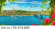 Golden Horn in Istanbul and view of Suleymaniye Mosque. Flowers in Istanbul. Стоковое фото, агентство Ingram Publishing / Фотобанк Лори
