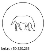 Steed Horse Equestrian Equine Stallion thoroughbred Mustang  silhouette in circle round black color vector illustration contour outline style image simple image. Steed Horse Equestrian Equine Stallion thoroughbred Mustang silhouette in circle round black color vector illustration contour outline style image . Стоковая иллюстрация, агентство Ingram Publishing / Фотобанк Лори