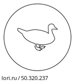 Duck Male mallard Bird Waterbird Waterfowl Poultry Fowl Canard  silhouette in circle round black color vector illustration contour outline style image simple image. Duck Male mallard Bird Waterbird Waterfowl Poultry Fowl Canard silhouette in circle round black color vector illustration contour outline style image . Стоковая иллюстрация, агентство Ingram Publishing / Фотобанк Лори