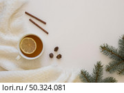 delicious hot tea with cinnamon rolls. Стоковое фото, агентство Ingram Publishing / Фотобанк Лори