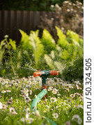 Watering garden with a hose at heat summer. Close up. Стоковое фото, фотограф Светлана Лажко / Фотобанк Лори