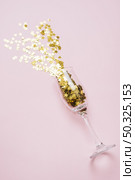 star spangles scattered from glass pink table. Resolution and high quality beautiful photo. star spangles scattered from glass pink table. High quality and resolution beautiful photo concept. Стоковое фото, агентство Ingram Publishing / Фотобанк Лори