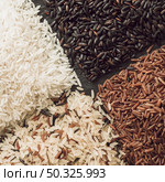 variety rice grains background. Resolution and high quality beautiful photo. variety rice grains background. High quality beautiful photo concept. Стоковое фото, агентство Ingram Publishing / Фотобанк Лори