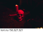 skull candle dark red light. High resolution photo. skull candle dark red light. High quality photo. Стоковое фото, агентство Ingram Publishing / Фотобанк Лори