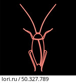 Neon cockroach red color vector illustration flat style light image. Neon cockroach red color vector illustration flat style image. Стоковая иллюстрация, агентство Ingram Publishing / Фотобанк Лори