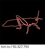 Neon grasshoper red color vector illustration flat style light image. Neon grasshoper red color vector illustration flat style image. Стоковая иллюстрация, агентство Ingram Publishing / Фотобанк Лори