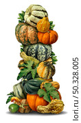 Harvest Vegetables Vertical Banner  on a white background as a thanksgiving autumn design element. Стоковое фото, агентство Ingram Publishing / Фотобанк Лори
