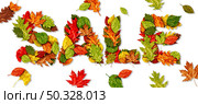 Autumn Sale text banner as tree leaves during a fall season as a leaf symbol for promotional marketing sales as a composite.  . Стоковое фото, агентство Ingram Publishing / Фотобанк Лори