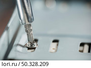 screwdriver inserted screw. High resolution photo. screwdriver inserted screw. Стоковое фото, агентство Ingram Publishing / Фотобанк Лори