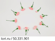 circular carnations flower frame isolated white background. High resolution photo. circular carnations flower frame isolated white background. High quality photo. Стоковое фото, агентство Ingram Publishing / Фотобанк Лори