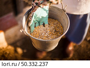 person hand holding bucket with fodder. High resolution photo. person hand holding bucket with fodder. High quality photo. Стоковое фото, агентство Ingram Publishing / Фотобанк Лори