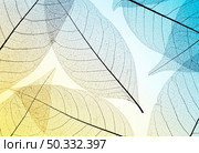top view translucent leaves with colored hue. High resolution photo. top view translucent leaves with colored hue. High quality photo. Стоковое фото, агентство Ingram Publishing / Фотобанк Лори