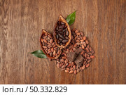 From above of halved Theobroma tree pods filled with piles of organic peeled and unpeeled cocoa beans with chocolate chunks placed on wooden surface. Raw dark beans of cocoa tree in pods. Стоковое фото, агентство Ingram Publishing / Фотобанк Лори