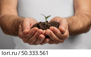 front view male hands holding soil plant. Стоковое фото, агентство Ingram Publishing / Фотобанк Лори