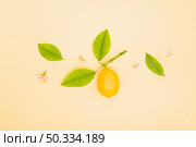 top view lemon with leaves. Стоковое фото, агентство Ingram Publishing / Фотобанк Лори