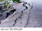 Cracked asphalt road surface with visible vegetation and stones, showcasing the impact of weathering and erosion on urban infrastructure and natural elements. Стоковое фото, фотограф Елена Гоосен / Фотобанк Лори