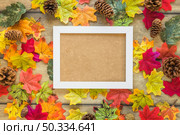 frame foliage snags. Стоковое фото, агентство Ingram Publishing / Фотобанк Лори