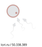 Sperm And Egg Cell Icon. Flat Color Design. Vector Illustration. Стоковая иллюстрация, агентство Ingram Publishing / Фотобанк Лори