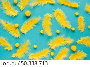 top view yellow feather pom poms carnival. Стоковое фото, агентство Ingram Publishing / Фотобанк Лори