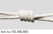 twisted cotton rope front view. Стоковое фото, агентство Ingram Publishing / Фотобанк Лори