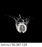 coconut plunging into water. Стоковое фото, агентство Ingram Publishing / Фотобанк Лори