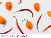 top view red hot chili peppers with white background. Стоковое фото, агентство Ingram Publishing / Фотобанк Лори